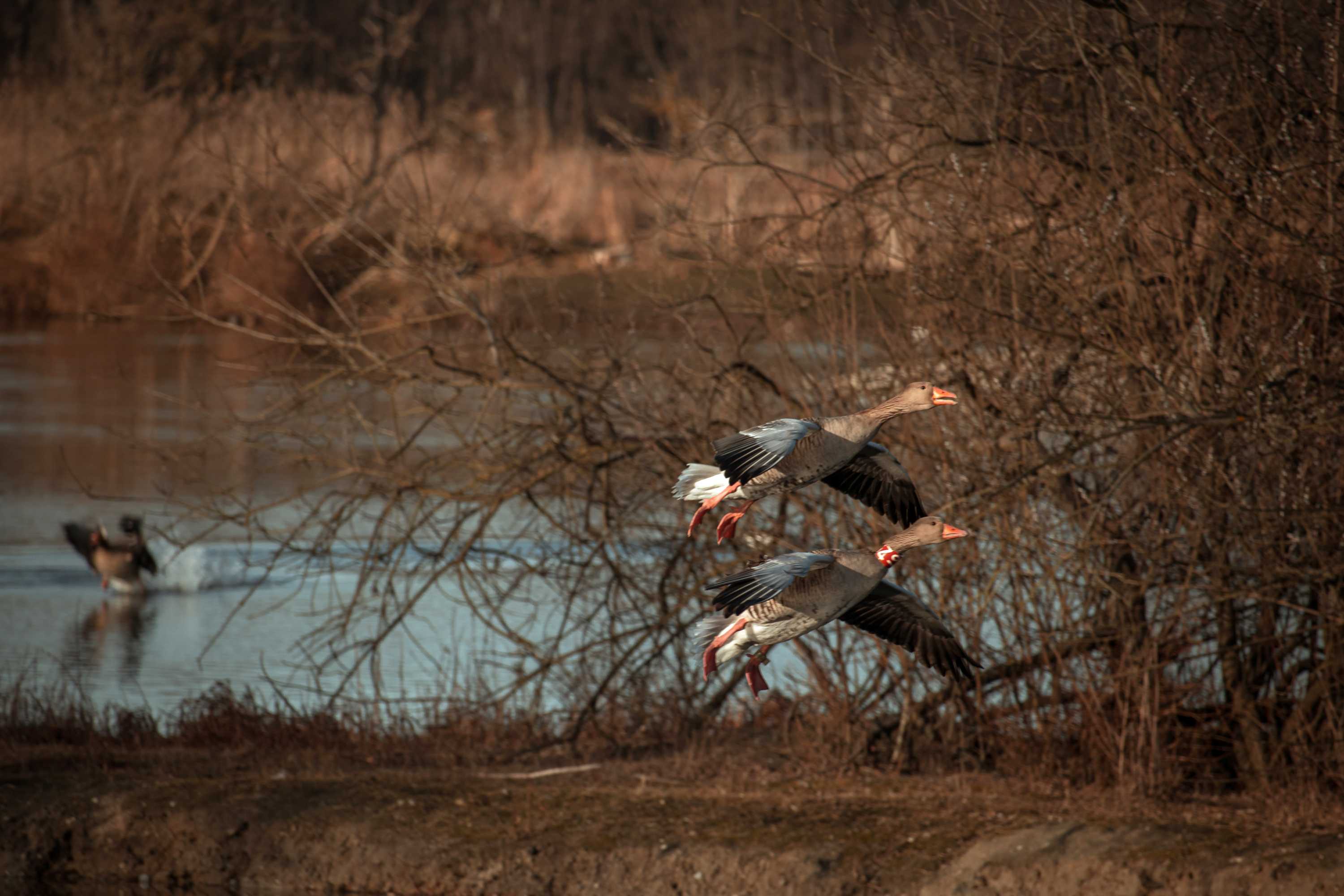 2023 Photo 14